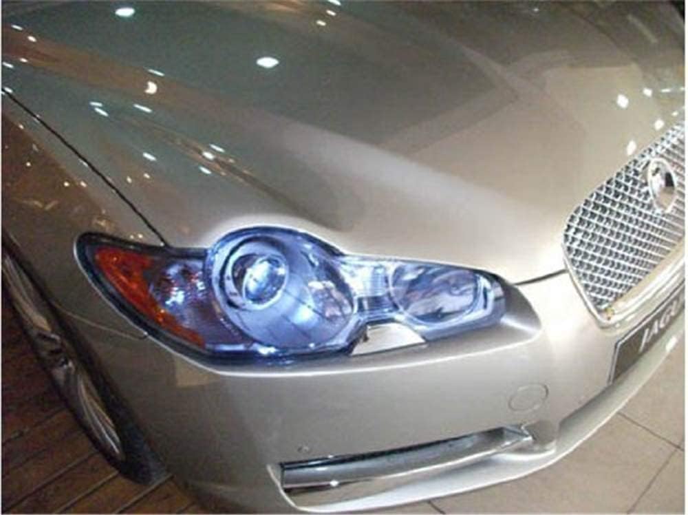12 by 48 Inches Self Adhesive Headlight, Tail Lights, Fog Lights Tint Vinyl Film with Knife and Hand Tool (Light Blue)